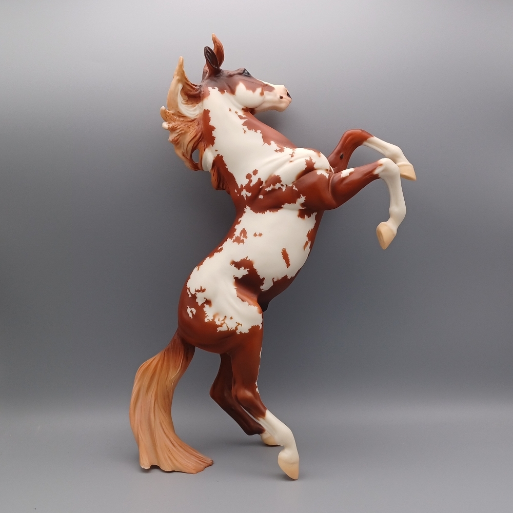 Breyer Hidalgo - Picture 6 of 16